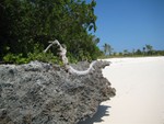 Limestone base on Beach at Baker's Bay on Great Guana Cay