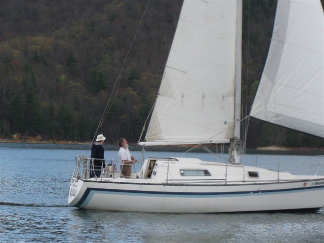 Richard Hallier and Baron Eliason on Puffin