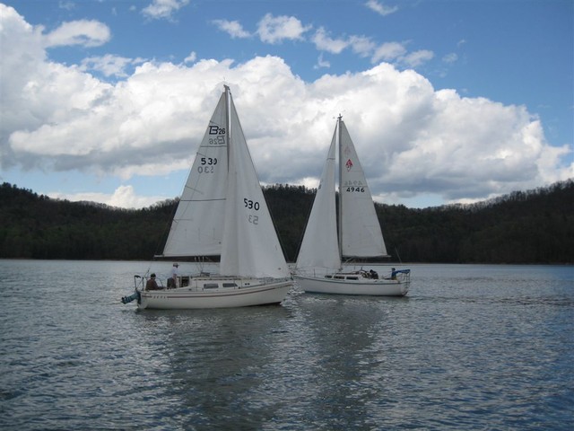My Love 2 and Slippery II mixing it up before the race..