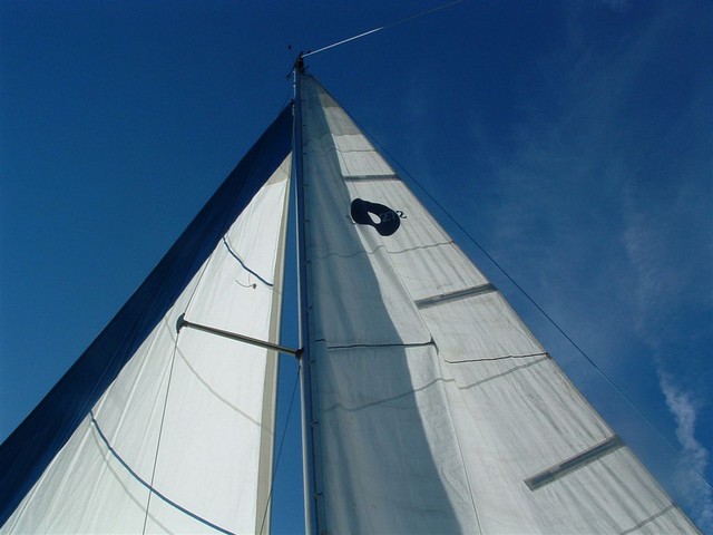 Sails of Papillon II, O'day 272