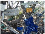 The Signing Tree at Allens-Pensacola Cay where Bill added his fishing floats (found on beach)to the collection.