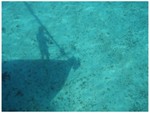 We could easily watch Irish Eyes's shadow move across the white sand and grass bottom 20 feet below the boat.