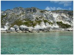 The limestone cliffs on the south end of Ship Channel Cay are 50 feet high and filled with caves.
