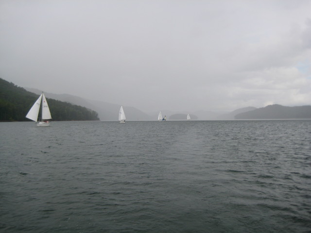 picture of boats on down wind leg of race