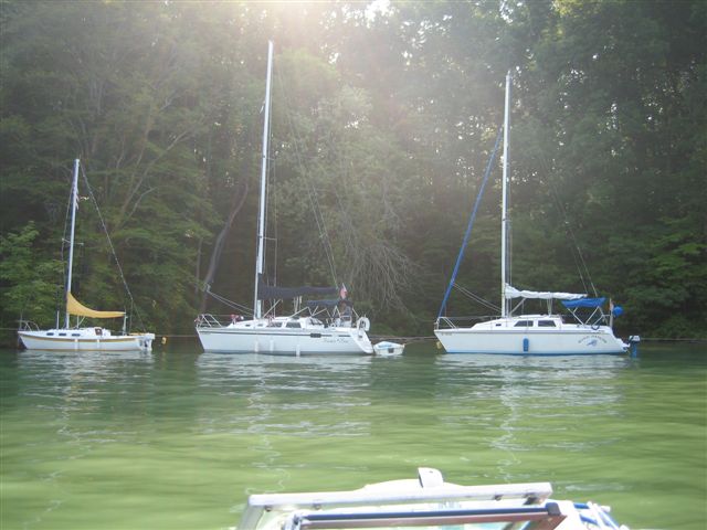 Boats on Buoy Line at Picnic