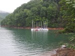 picture of flotilla from shore