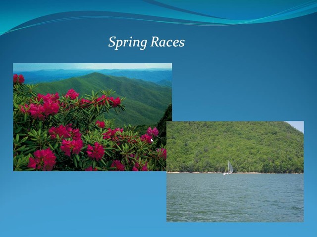Spring Races
