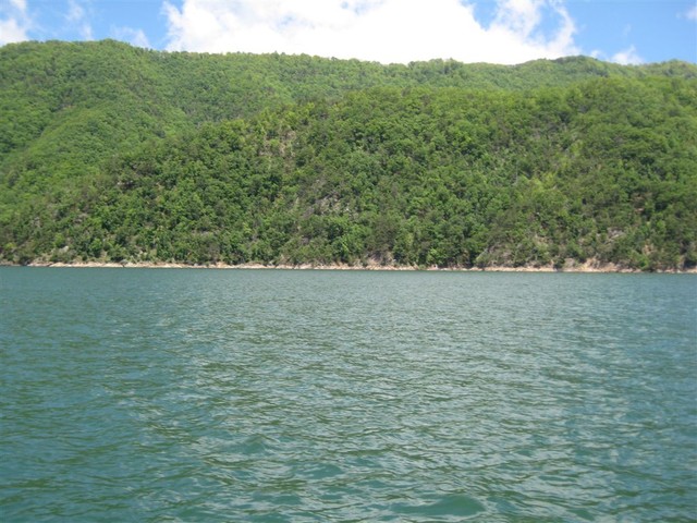 Island Mark, Looking South to North, set in 60 ft of water, N 36 19.632', W 82 05.090'