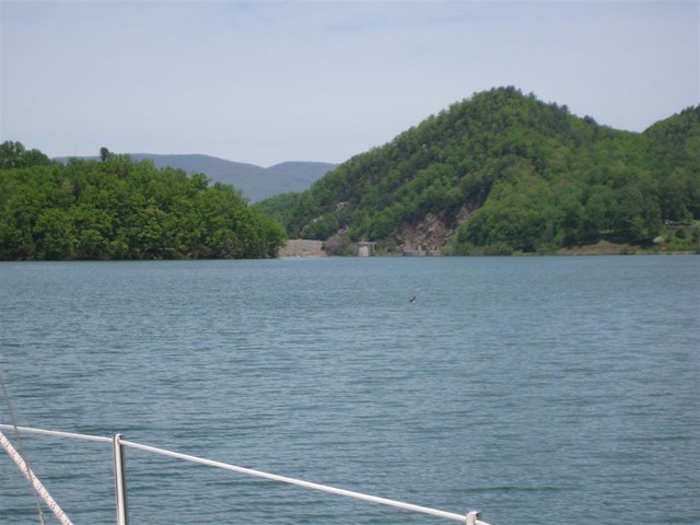 view from Rat Branch towards dam